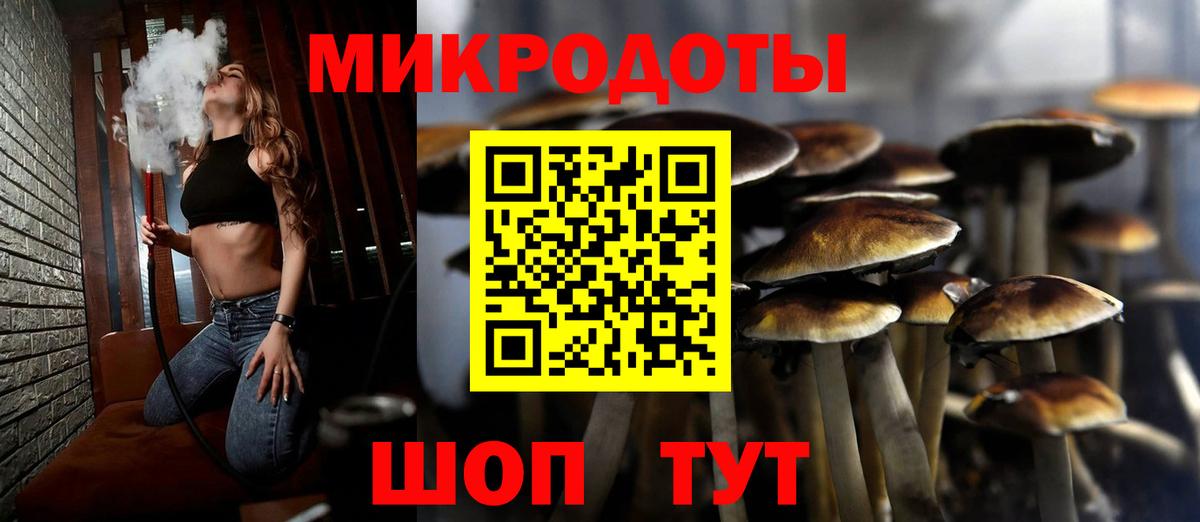 Томск  Псилоцибиновые грибы прущие грибы  Вход с VPN 